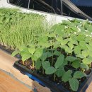 서울농약사 이미지