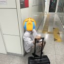 보라매역 맛집 알렉스플레이스 , 내돈내산 직접 가본 솔직후기