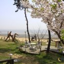 삼목선착장 이미지