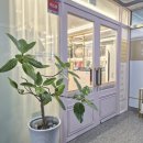 웨딩블랑 이미지