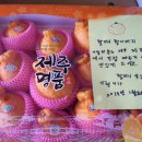 김기열 농장 이미지