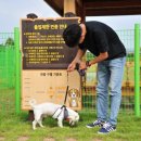 요천생태습지공원 애견놀이터 이미지