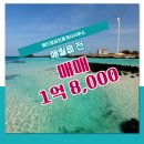 해드림부동산공인중개사사무소 이미지