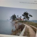 천사공인중개사사무소 | 미래를 내다보는 신안군토지 투자, 신안천사공인중개사사무소가 얼마나 든든한 파트너가 되어줄 수...