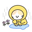 이든뷰티 이미지