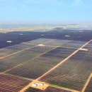 밤시 태양광발전소 이미지