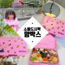 예쁜튼튼어린이집 | 소풍 도시락 얌박스 타파스 에버랜드 나들이 후기 ft. 유치원 피크닉 도시락 예행연습