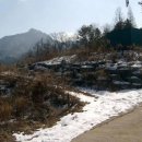 홍천- 화촌면 맑은군업천옆 전원주택개발부지 1,136평 이미지