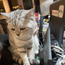 아이디온PC카페 이미지