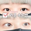 리온(LEE:on) 네이버블로그