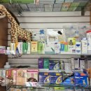 윤진약국 이미지