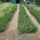 수목원농장 이미지