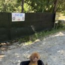 산속정원캠핑장 | 부산 프라이빗 계곡 취사 가능 무인카페 산속의 정원 화명동애기소