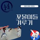 충효 태권도(호반) 이미지