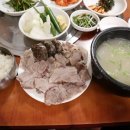 중앙돼지 이미지