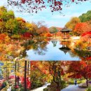 11월1일 晩秋에 달아논 시그널~!! 해외보다 더 아름다운 오색빛 名不虛傳 출사 이미지