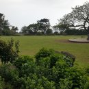 참살이 쌈밥 이미지