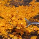 두루치기 하남 이미지