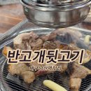 남산로 | 대구 중구 남산동 반고개뒷고기 내돈내산 솔직후기