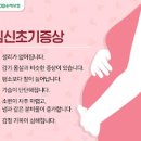 임신 초기 증상 임신 2주차 증상 임신초기 임신중기 임신후기 증상 이미지