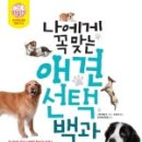 한스애견 이미지