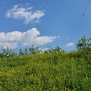 포워드휘트니스 | [운동일지_01] 금릉 헬스장 포워드휘스티스에서 인생 첫 PT 가보자고~!