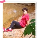 성현농장 Daum카페