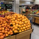 호텔야자(삼천포항구점) | 신혼여행(6) : 두바이 슈퍼마켓 Spinneys 쇼핑리스트 (JOMARA 대추야자·두바이 초콜렛 가격 후기)