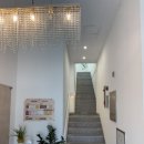 스토리멍 여수애견호텔/여수애견유치원 이미지