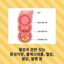 양천헬스 네이버블로그