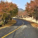 영천불교사