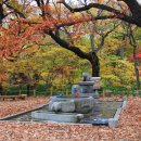 고택약수터 이미지