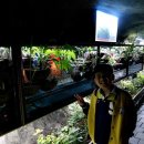 광명동굴 이미지