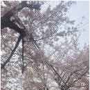 신기한의원 이미지