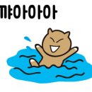 와이비헤어 - 고양시 덕양구 | 와이비헤어