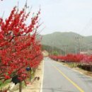 남일자율방범대 이미지