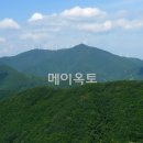 (주)양지투어