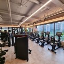 DM GYM 이미지