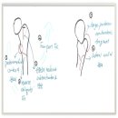 CW-0203-01 이미지