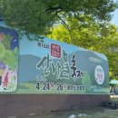 용문산관광지(주차장화장실) | 2026년 양평 용문산 산나물축제 토요일 꿀잼후기 #산나물김밥 #산나물축제주차