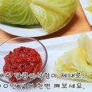 양배추 삶는법 시간 양배추 찌는법 찌는시간 양배추찜 이미지