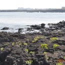 길인목장 이미지