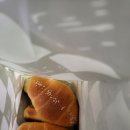 오파토 이미지