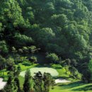 중앙 골프장 이미지