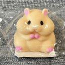 햄스터 다락방 이미지