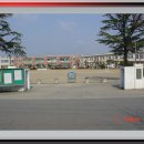 월평초등학교 이미지