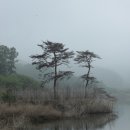 김천부항댐 산내들 오토캠핑장 이미지