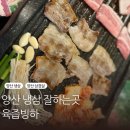 빙하시대 | 양산 증산 맛집 냉동 삼겹살 냉삼 육즙빙하 양산 본점 방문 후기