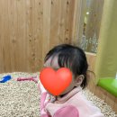 환경성질환 예방관리센터(비자림) | 비자림숲힐링센터 방문 후기｜아랑이놀이터 ₍ˆ‧ ̫‧ˆ₎