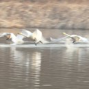 용포마을 이미지
